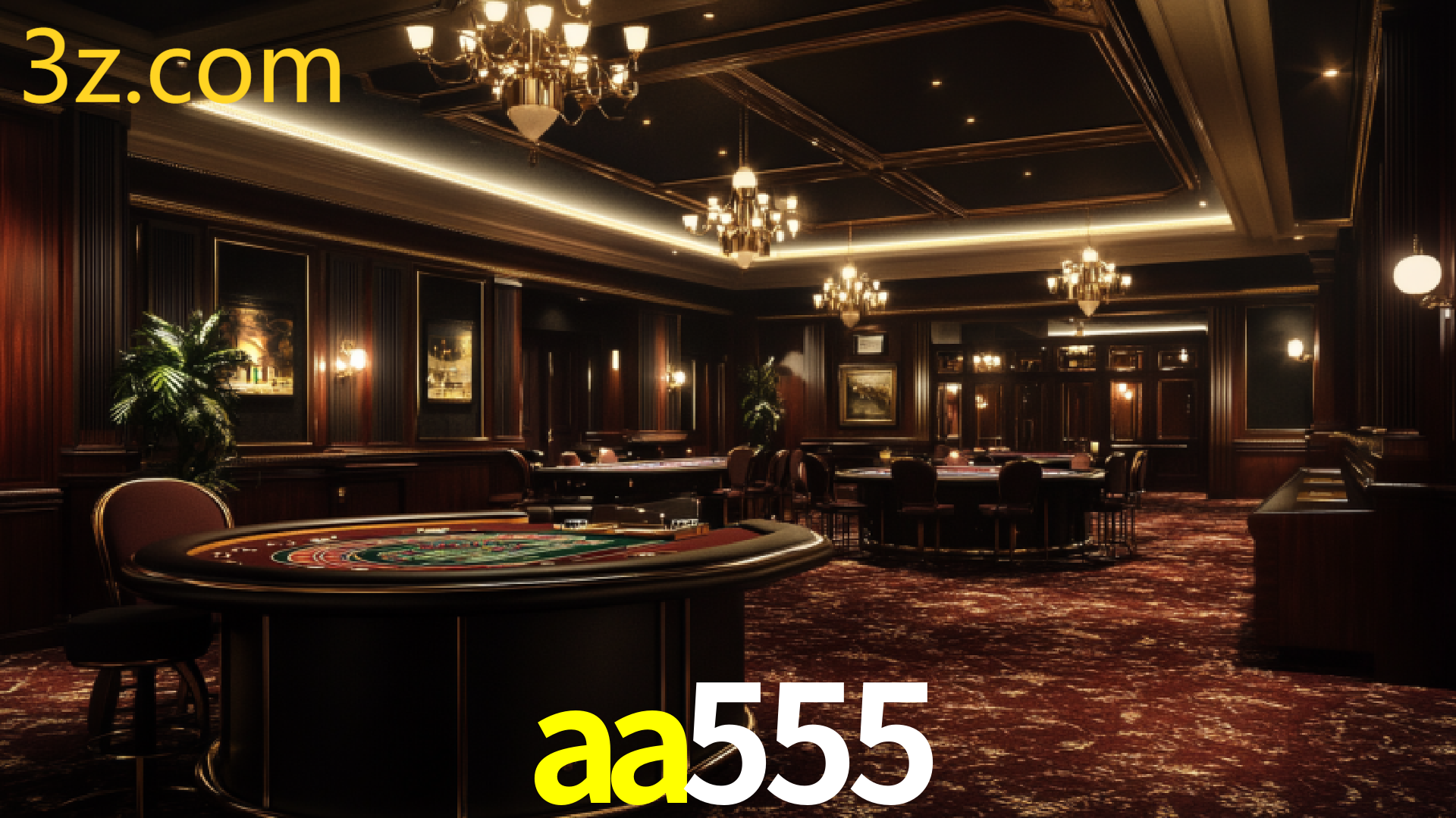 AA555.COM